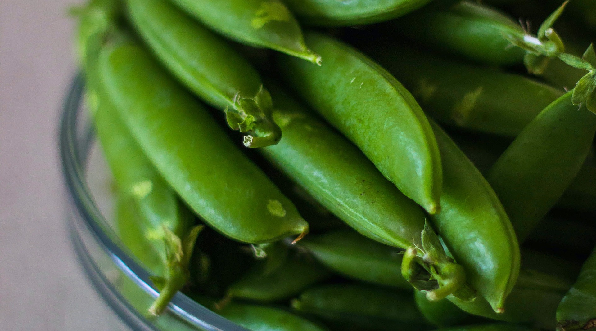 Agro-écologie d'aucy