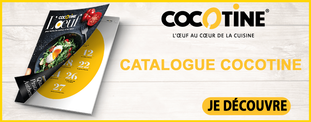http://content.daucyfoodservice.com/catalogue-de-gamme-cocotine-2020